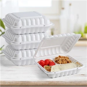 9 インチ x 9 インチのプラスチック製テイクアウト食品容器