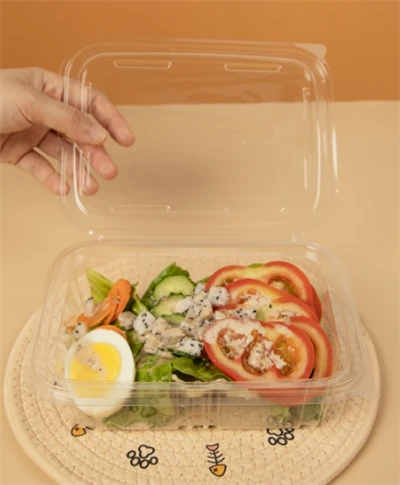 プラスチックサラダボウル長方形