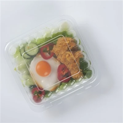 持ち帰り用使い捨て弁当