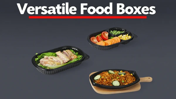To Go Lunch Boxes To Go Lunch Boxes